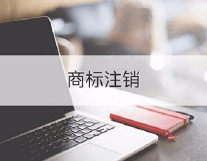 佛山公司代理记账与工商注册服务全解析 一站式企业财务解决方案