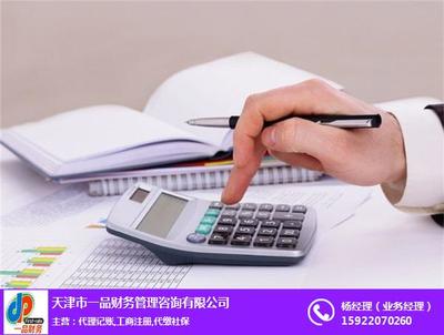 银星财务 专业财务咨询，助您稳健前行